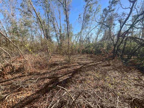Tiny photo for Vacant SE Blackhawk Drive, Lee, FL 32059 (MLS # 398017)