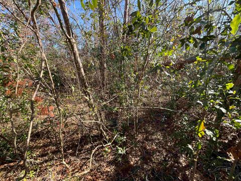 Tiny photo for Vacant SE Blackhawk Drive, Lee, FL 32059 (MLS # 398017)