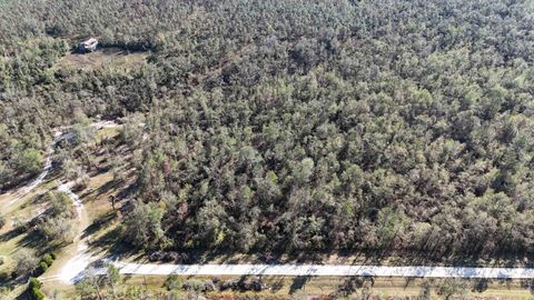 Tiny photo for Vacant SE Blackhawk Drive, Lee, FL 32059 (MLS # 398017)