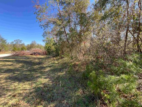 Tiny photo for Vacant SE Blackhawk Drive, Lee, FL 32059 (MLS # 398017)
