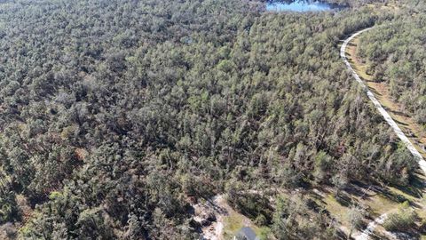 Tiny photo for Vacant SE Blackhawk Drive, Lee, FL 32059 (MLS # 398017)