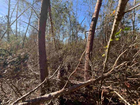 Tiny photo for Vacant SE Blackhawk Drive, Lee, FL 32059 (MLS # 398017)