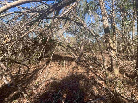 Tiny photo for Vacant SE Blackhawk Drive, Lee, FL 32059 (MLS # 398017)