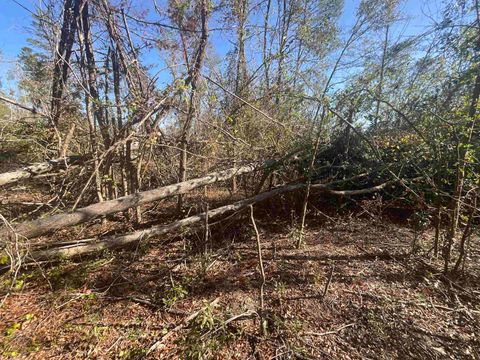 Tiny photo for Vacant SE Blackhawk Drive, Lee, FL 32059 (MLS # 398017)