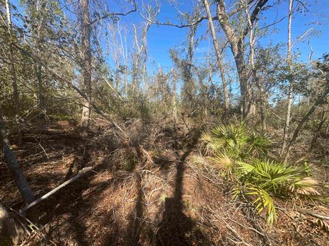 Tiny photo for Vacant SE Blackhawk Drive, Lee, FL 32059 (MLS # 398017)