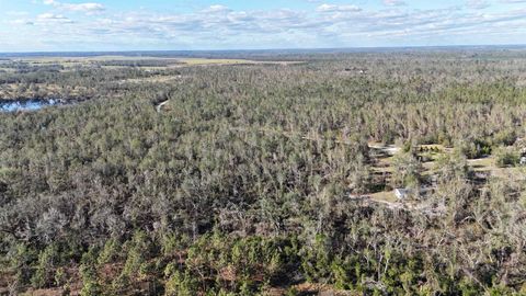 Tiny photo for Vacant SE Blackhawk Drive, Lee, FL 32059 (MLS # 398017)