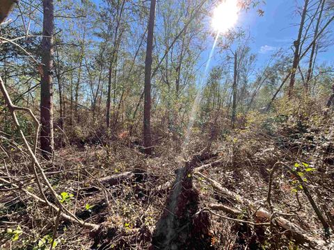 Tiny photo for Vacant SE Blackhawk Drive, Lee, FL 32059 (MLS # 398017)