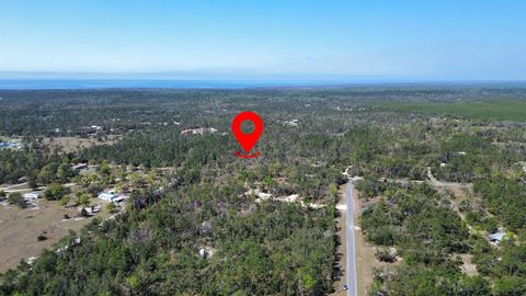 Tiny photo for 13169 S Stricklands Landing Drive, Perry, FL 32348 (MLS # 397942)