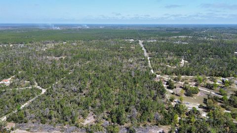 Tiny photo for 13169 S Stricklands Landing Drive, Perry, FL 32348 (MLS # 397942)