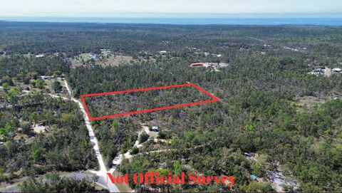 Tiny photo for 13169 S Stricklands Landing Drive, Perry, FL 32348 (MLS # 397942)