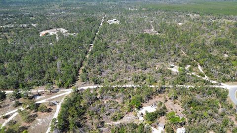 Tiny photo for 13169 S Stricklands Landing Drive, Perry, FL 32348 (MLS # 397942)