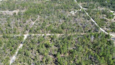 Tiny photo for 13169 S Stricklands Landing Drive, Perry, FL 32348 (MLS # 397942)