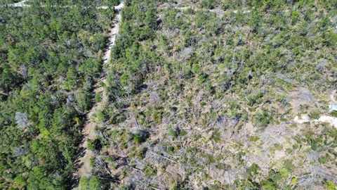 Tiny photo for 13169 S Stricklands Landing Drive, Perry, FL 32348 (MLS # 397942)