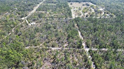 Tiny photo for 13169 S Stricklands Landing Drive, Perry, FL 32348 (MLS # 397942)