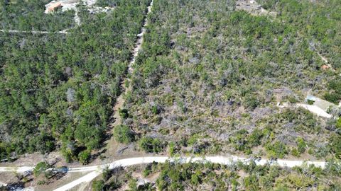 Tiny photo for 13169 S Stricklands Landing Drive, Perry, FL 32348 (MLS # 397942)