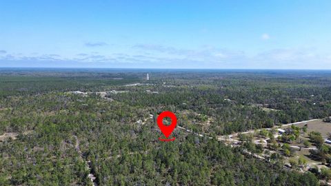 Tiny photo for 13169 S Stricklands Landing Drive, Perry, FL 32348 (MLS # 397942)