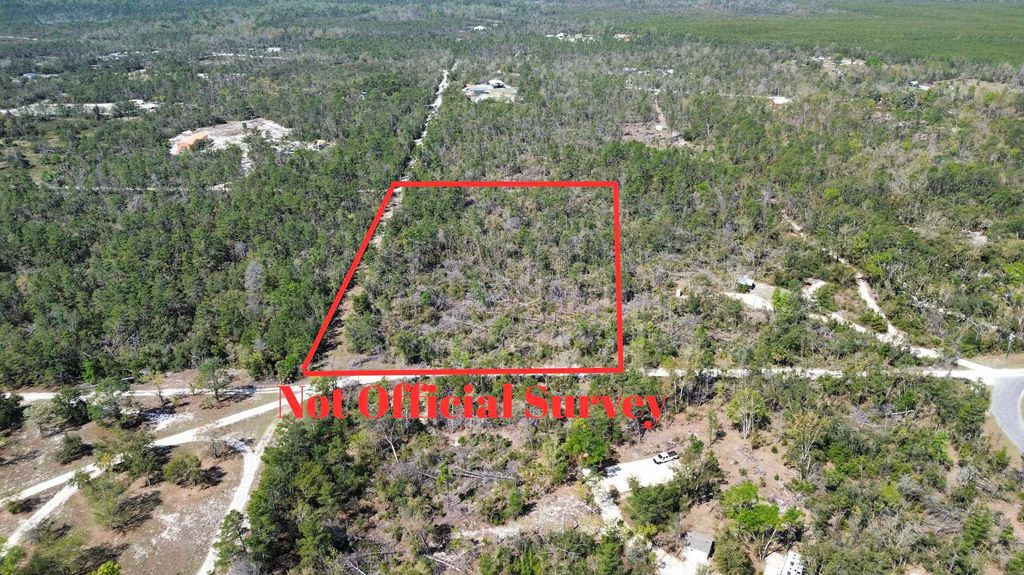 Photo of 13169 S Stricklands Landing Drive, Perry, FL 32348 (MLS # 397942)