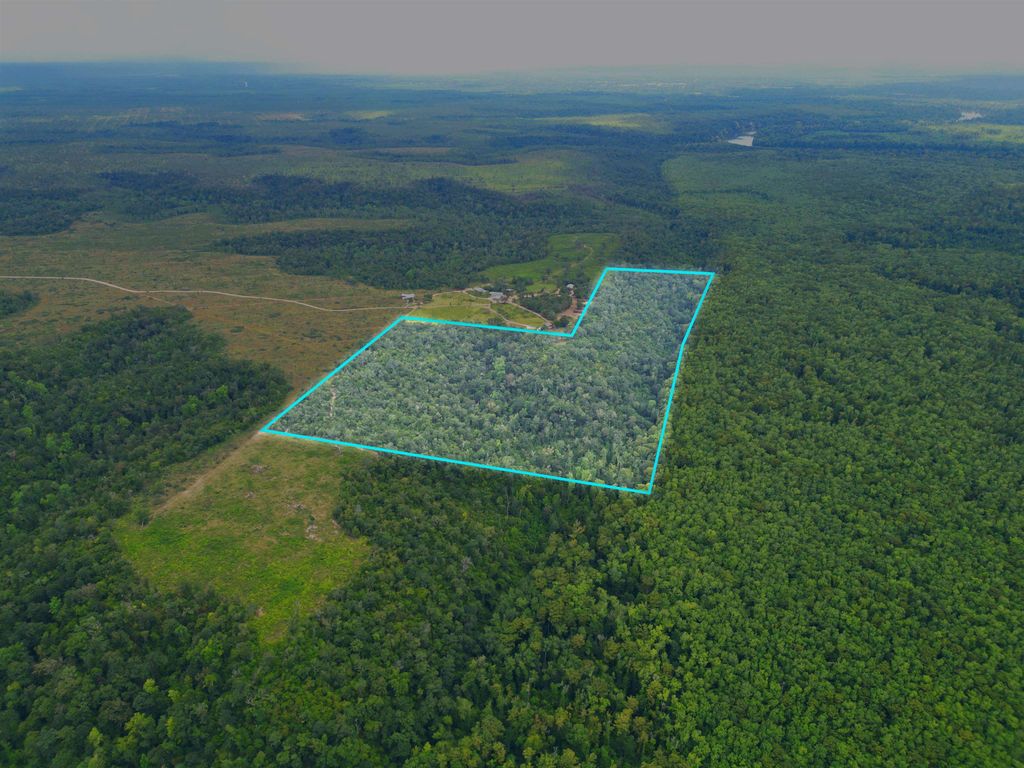 Photo of XXX NW Longleaf, Bristol, FL 32321 (MLS # 390482)