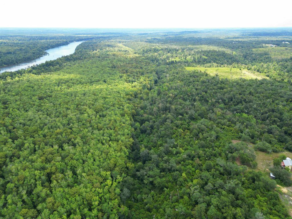 Photo of XXX NW Longleaf, Bristol, FL 32321 (MLS # 390482)