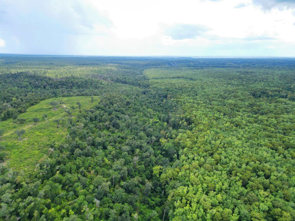 Photo of XXX NW Longleaf, Bristol, FL 32321 (MLS # 390482)