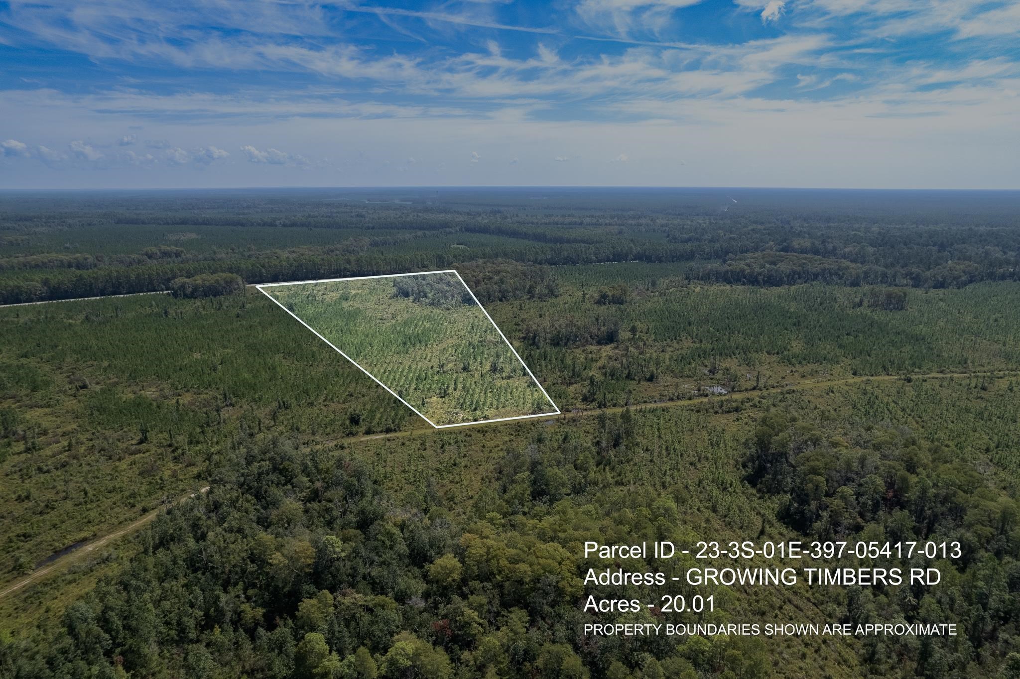 Lot 13 Growing Timbers Road