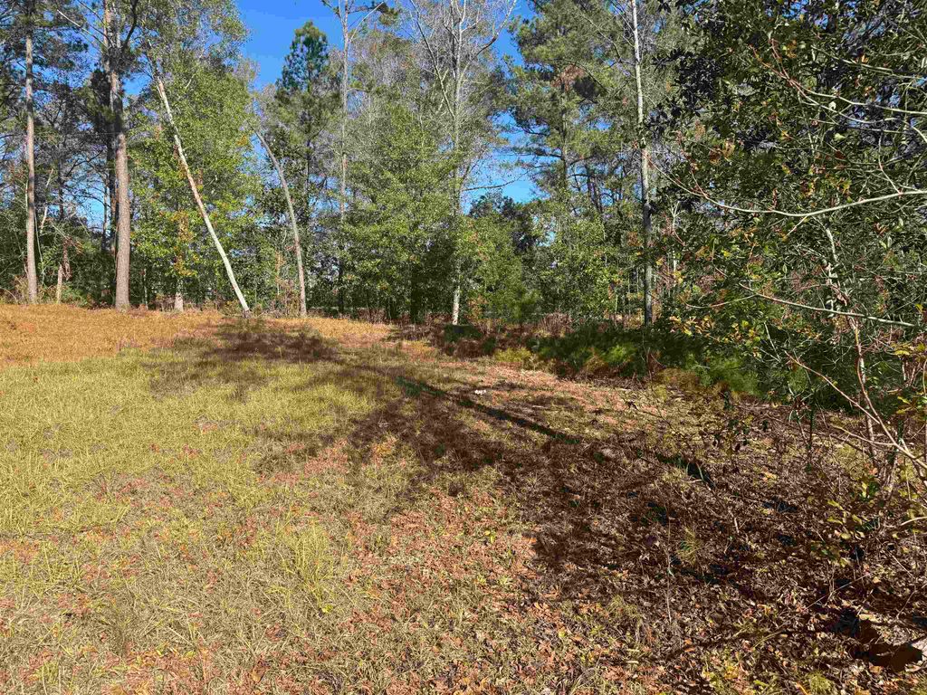 Photo of 165 Magnolia Glen Road, Quincy, FL 32351 (MLS # 394092)