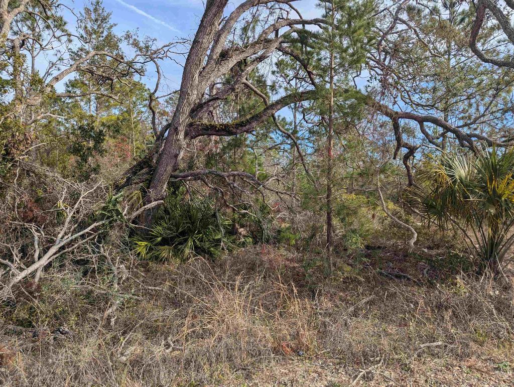 Photo of 00 E Royal Oak Drive, Perry, FL 32348 (MLS # 398117)