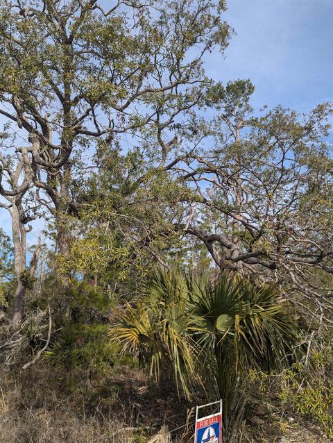 Tiny photo for 00 E Royal Oak Drive, Perry, FL 32348 (MLS # 398117)