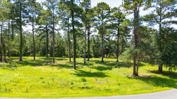 185 STILL WATER LN, HAVANA, FL 32333 - Image 706845c54926eb0e4e871e34da87e822/1158372045