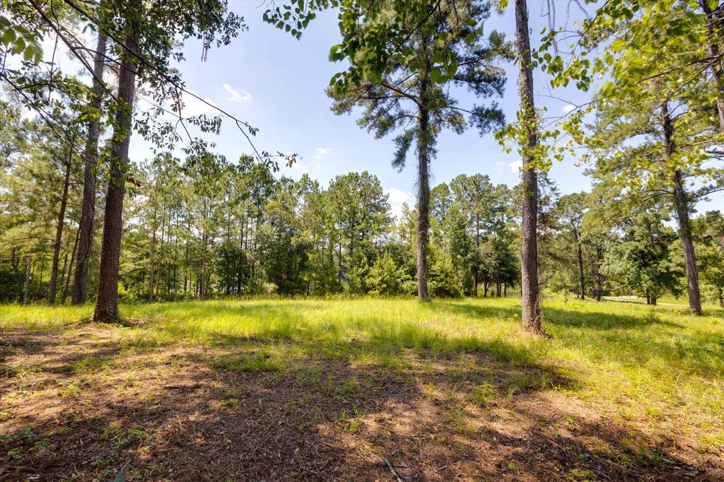 Photo of 185 Stillwater Lane, Havana, FL 32333 (MLS # 396329)