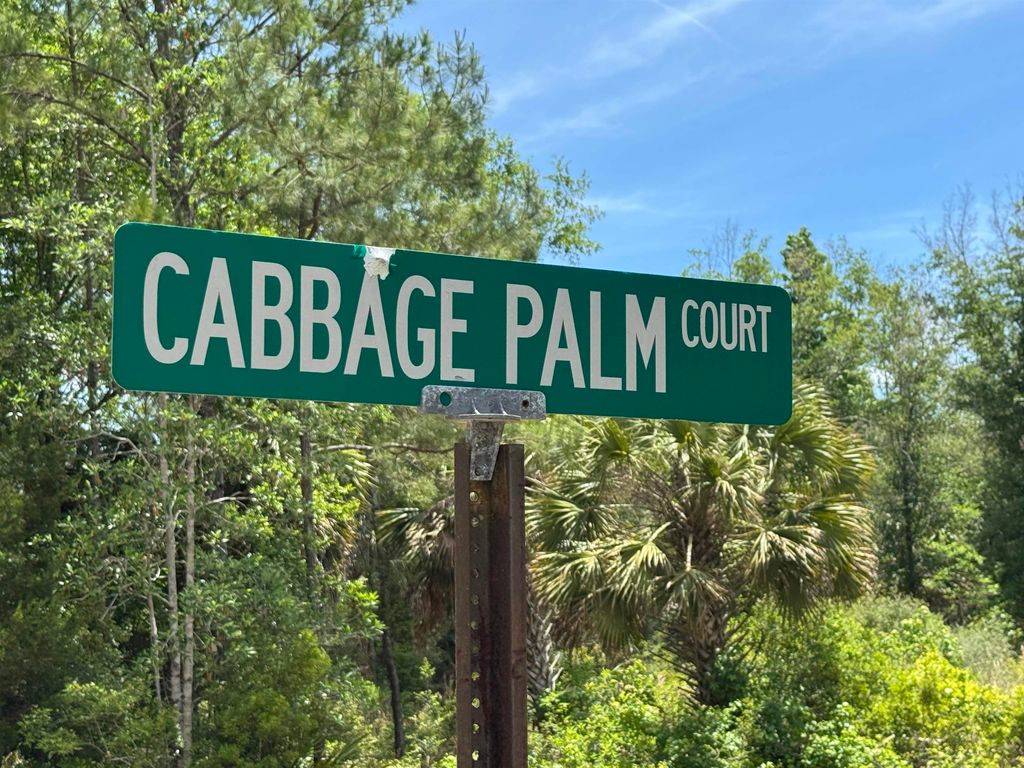 Photo of xx CABBAGE PALM Court, St Marks, FL 32355 (MLS # 399577)