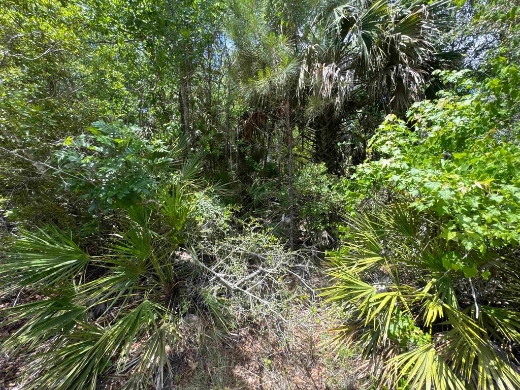 Photo of xx CABBAGE PALM Court, St Marks, FL 32355 (MLS # 399577)