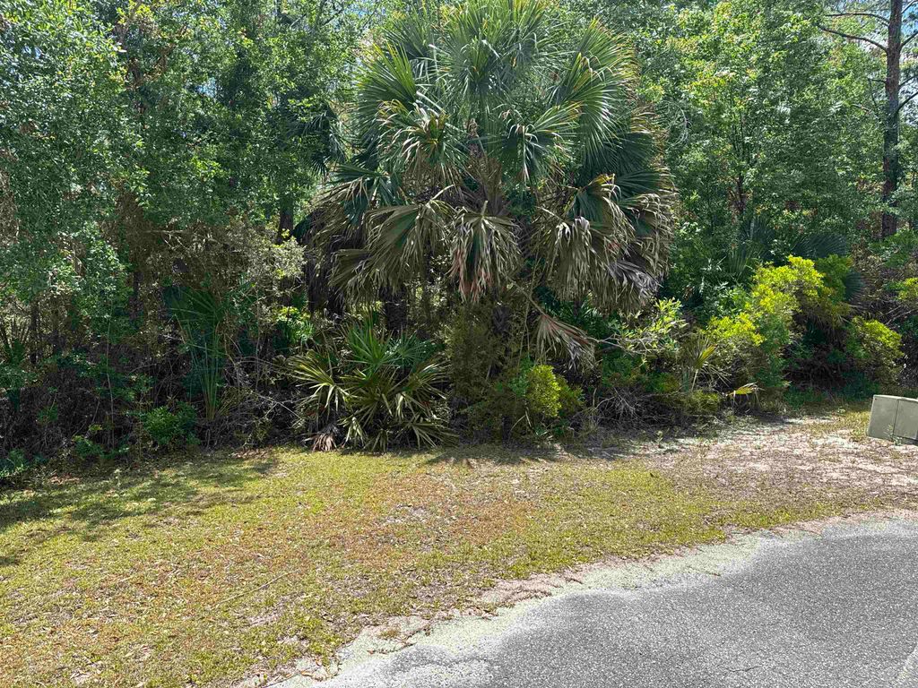 Photo of xx CABBAGE PALM Court, St Marks, FL 32355 (MLS # 399577)
