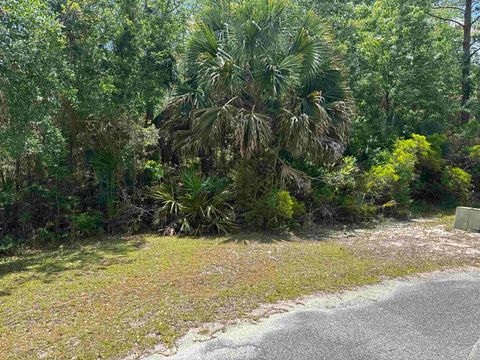 Tiny photo for xx CABBAGE PALM Court, St Marks, FL 32355 (MLS # 399577)