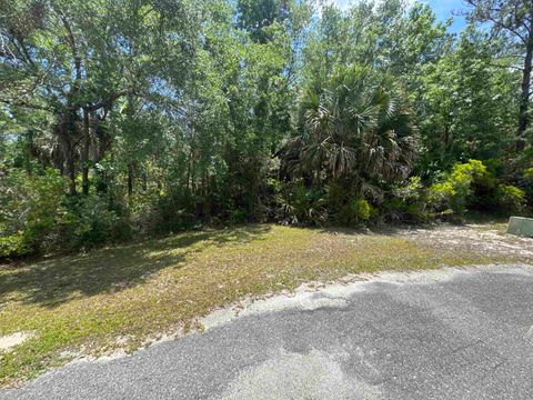 Tiny photo for xx CABBAGE PALM Court, St Marks, FL 32355 (MLS # 399577)