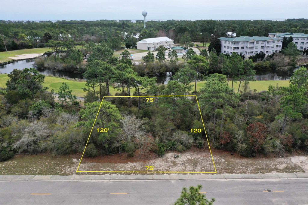 Photo of 397 Royal Tern Way, Carrabelle, FL 32322 (MLS # 391439)