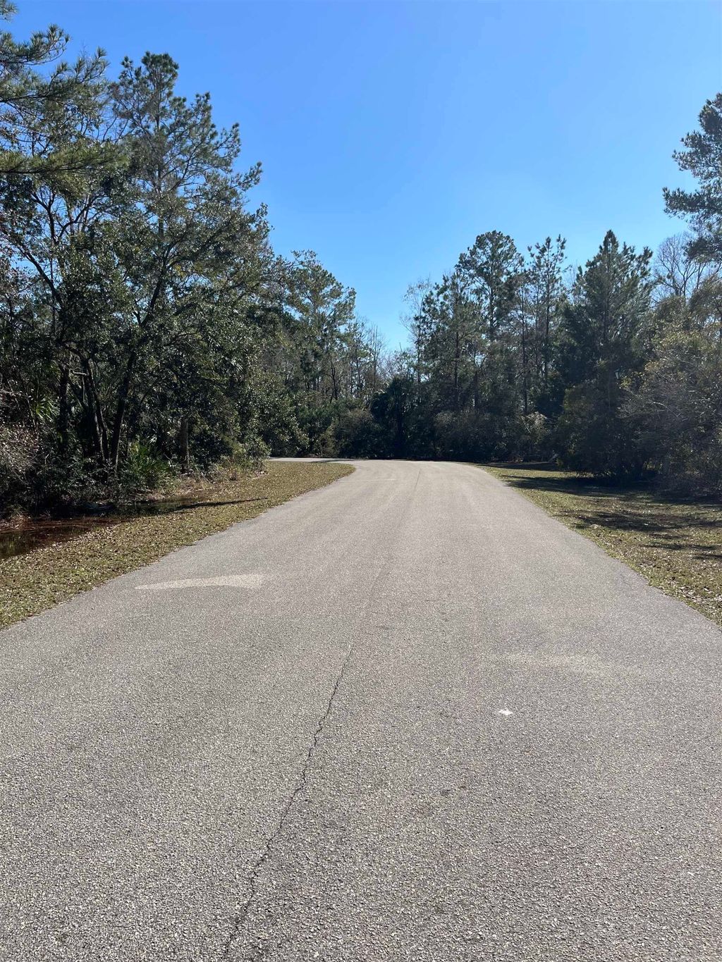 Photo of xx Burnt Pine Loop, St Marks, FL 32355 (MLS # 395899)