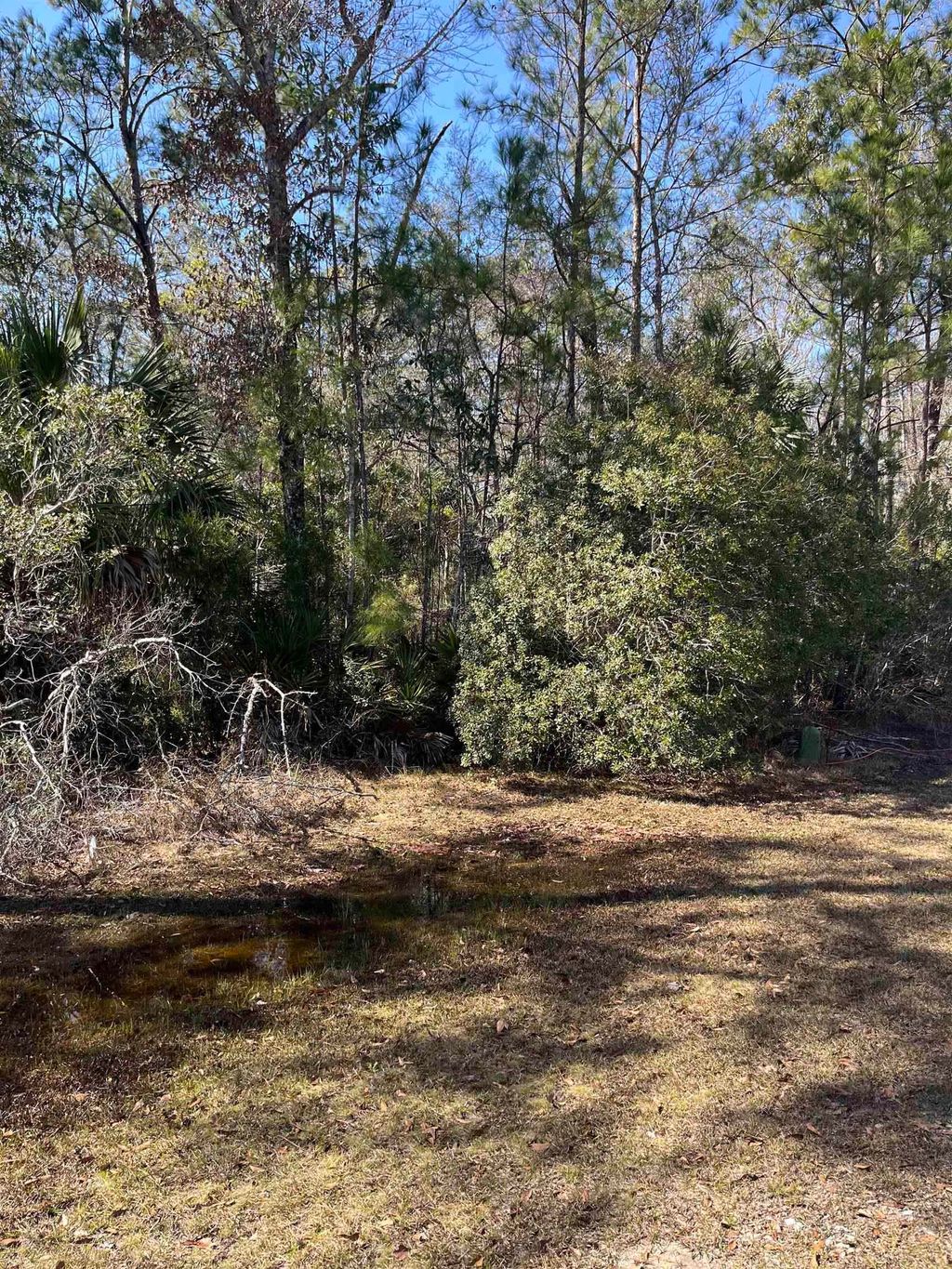 Photo of xx Burnt Pine Loop, St Marks, FL 32355 (MLS # 395899)