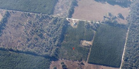 Tiny photo for 000 225th Road, Live Oak, FL 32060 (MLS # 397604)