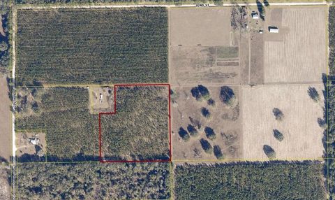 Tiny photo for 000 225th Road, Live Oak, FL 32060 (MLS # 397604)