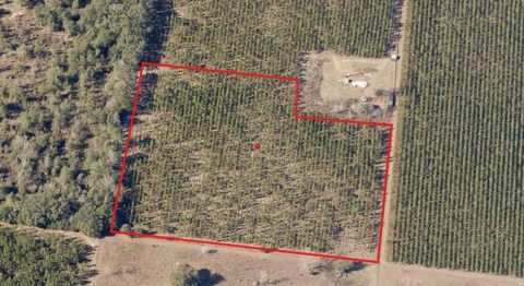 Tiny photo for 000 225th Road, Live Oak, FL 32060 (MLS # 397604)