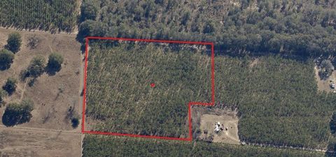 Tiny photo for 000 225th Road, Live Oak, FL 32060 (MLS # 397604)