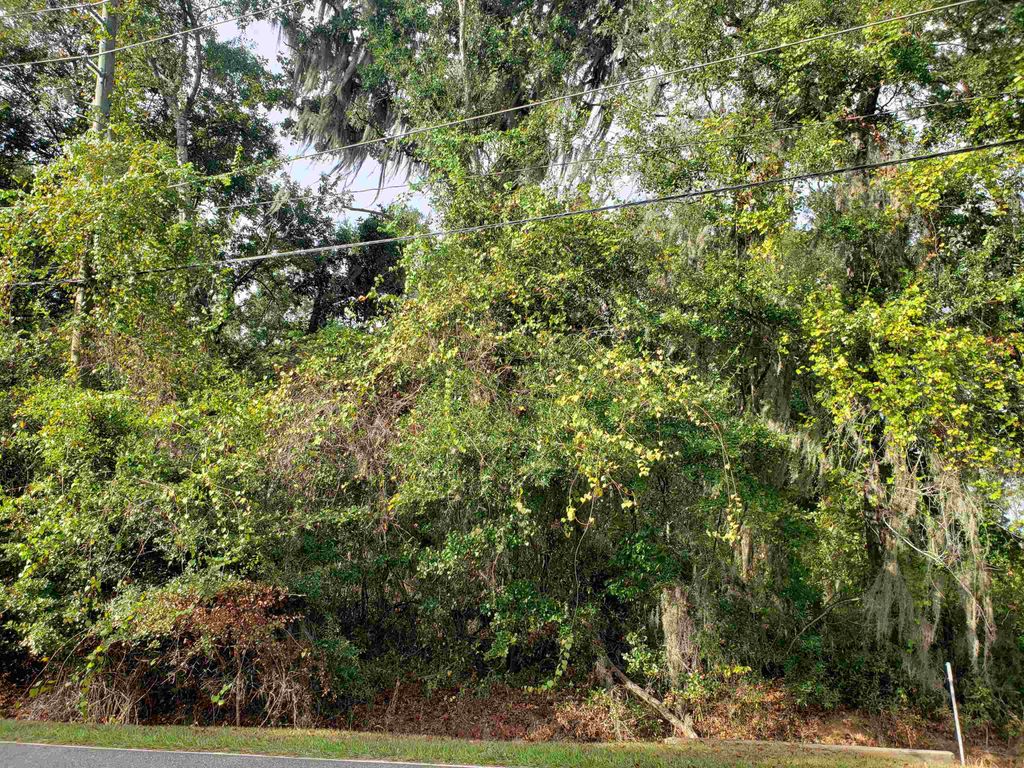 Photo of 0 Lonnie Road, Tallahassee, FL 32308 (MLS # 392431)