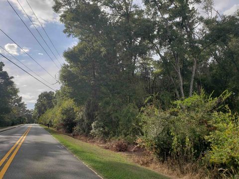 Tiny photo for 0 Lonnie Road, Tallahassee, FL 32308 (MLS # 392431)
