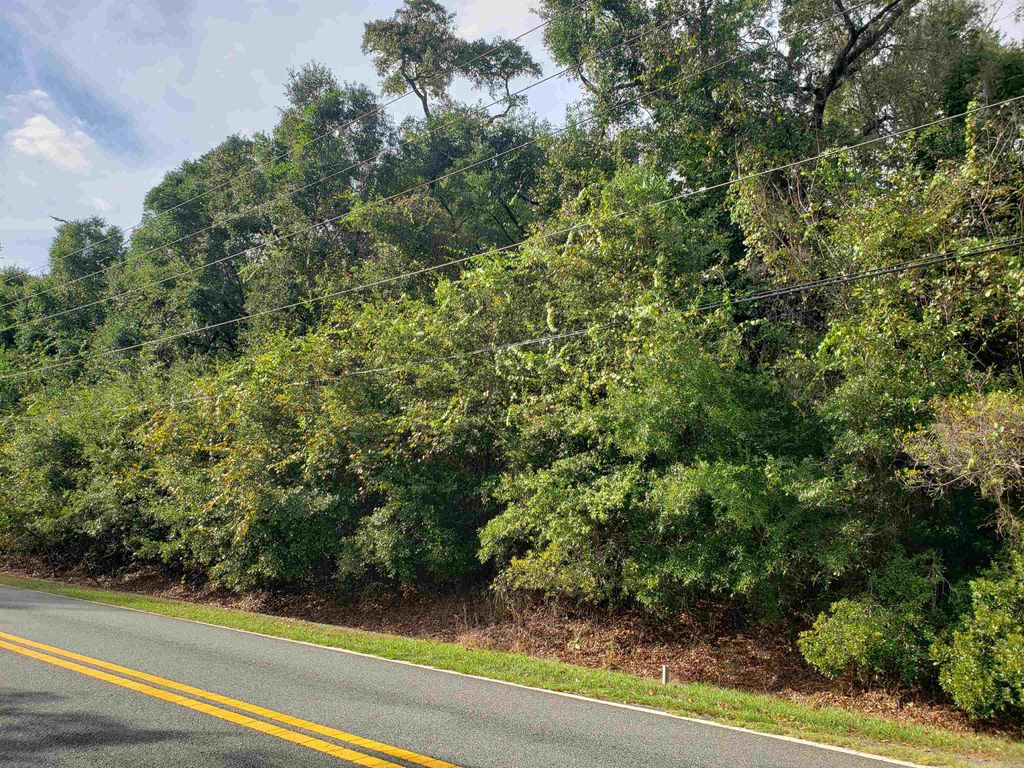 Photo of 0 Lonnie Road, Tallahassee, FL 32308 (MLS # 392431)