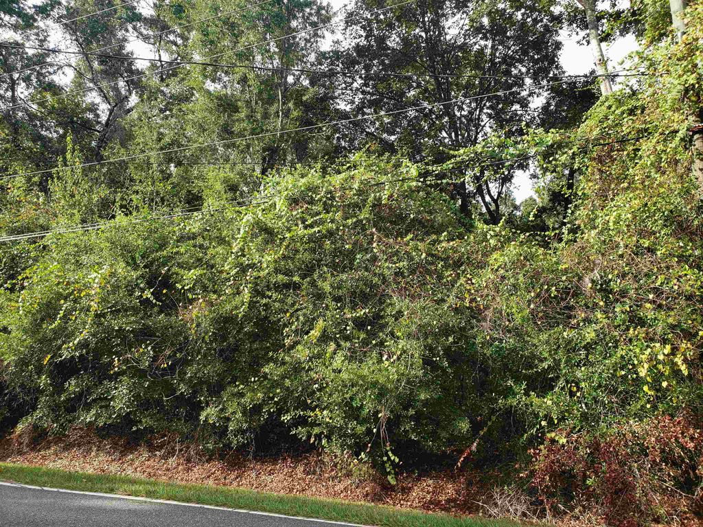 Photo of 0 Lonnie Road, Tallahassee, FL 32308 (MLS # 392431)