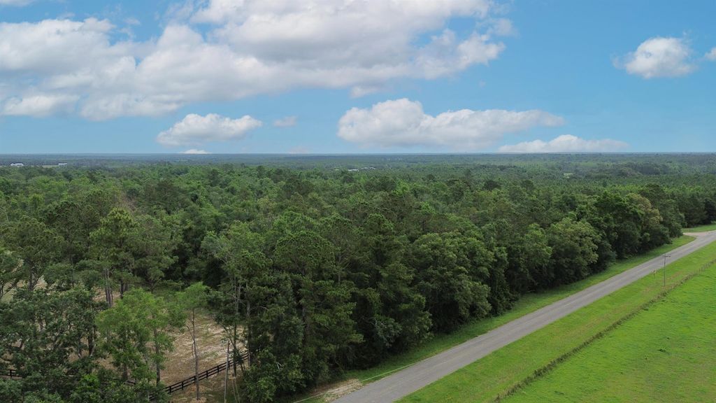 Photo of 0 NW CR 253 #Lot 1, Madison, FL 32340 (MLS # 386791)