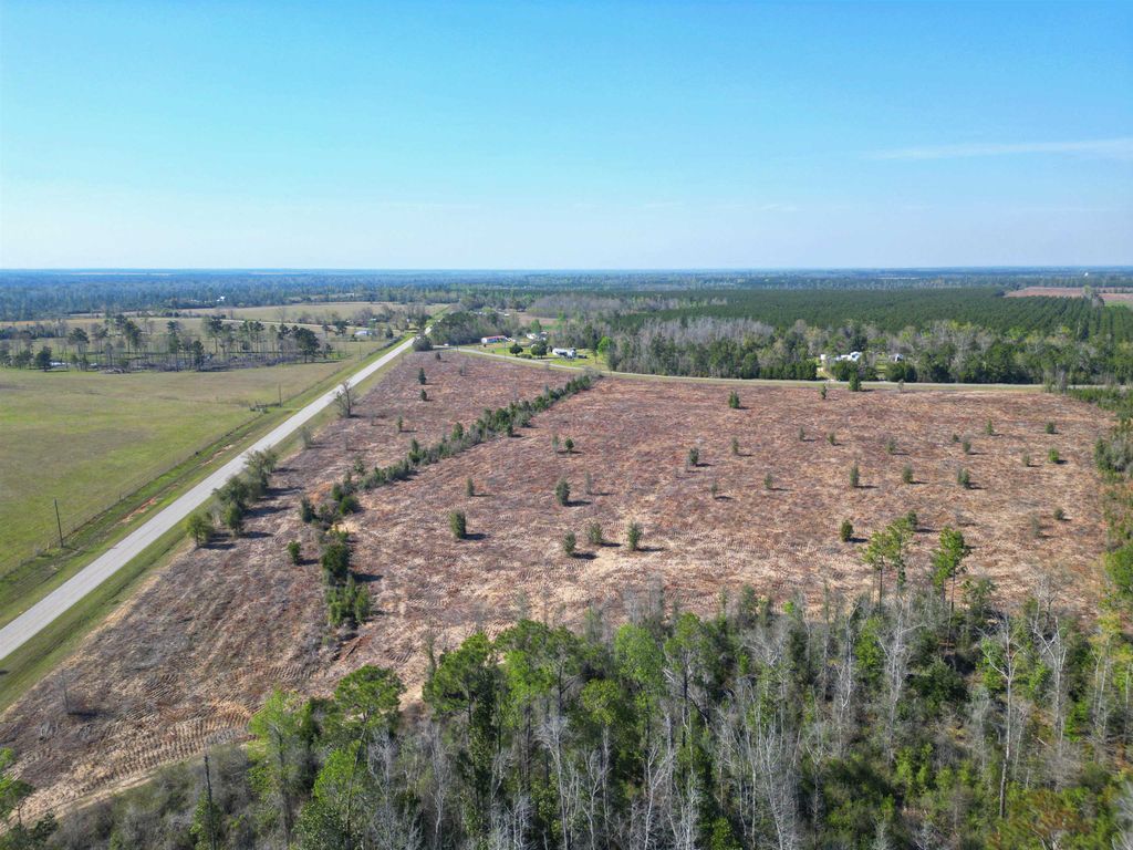 Photo of TBD Lot #1, Carlos Peavy Road, Blountstown, FL 32424 (MLS # 397667)