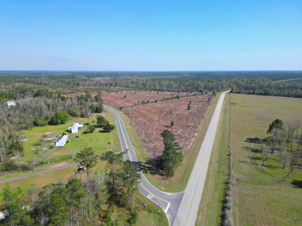 Photo of TBD Lot #1, Carlos Peavy Road, Blountstown, FL 32424 (MLS # 397667)