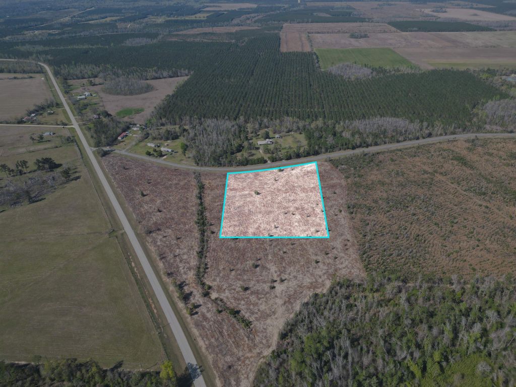 Photo of TBD Lot #1, Carlos Peavy Road, Blountstown, FL 32424 (MLS # 397667)